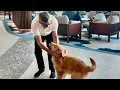 Star of the Seas Sailor Chief Dog Officer Michael Bayley Royal Caribbean