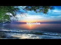 Zimmer - Moonrise