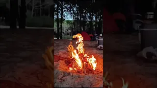 و ما أنا انت و لا صوتك استباحني دندنها