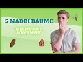 Download Lagu 5 Nadelbäume für Anfänger zum Bestimmen | natural life education