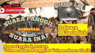 Download SP RATU COLONY STEREO INAP AKAU2014 - SUARA PANGGIL \u0026 INAP KOMBINASI KHUSUS 1 FLASHDISK MP3