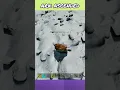 Fast Way To Berry Tame Ovis Ark Survival Ascended