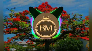 dj tunez j anthoni river wellz afrochill remix bm playlist 2021