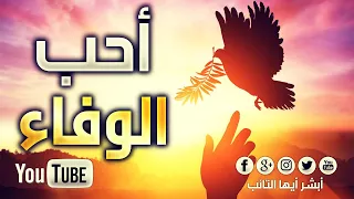 HD أحب الوفاء محمد المقيط Loyalty By Muhammad Al Muqit 