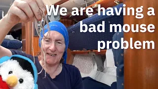 NOT Sailing Northern Ireland – Victron – Shore Power Charger – Electrical installation – Ep. 395