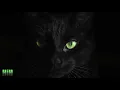 Frankyeffe & Seismal D - In Your Eyes ft. Njira
