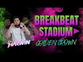 BREAKBEAT STADIUM GOLDEN CROWN VOL 4 | DJ DISKOTIK DUGEM TERBARU YANG DI CARI - CARI