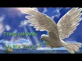 Download Lagu terang cah'yaMu (lirik) // senandung Roh Kudus