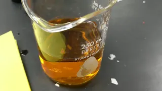 Set-Up of Diffusion Lab Cornstarch Iodine