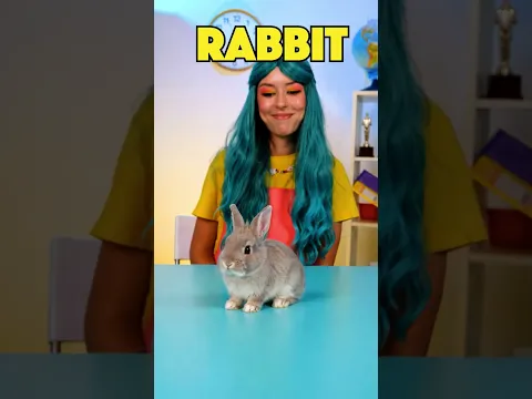 🐷 What animal is this? 🐰 Let's match the body play puzzle #forkids