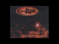Ash - Burn Baby Burn (Acoustic)