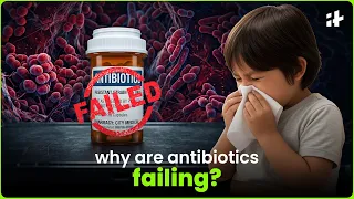 last-resort antibiotics are failing: india's growing superbug crisis explained