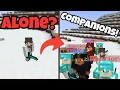 Custom Companions Minecraft Plugin - Combat Companions Plugin