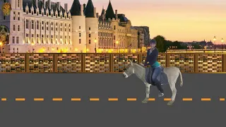 شادية   شي يا حماري دندنها