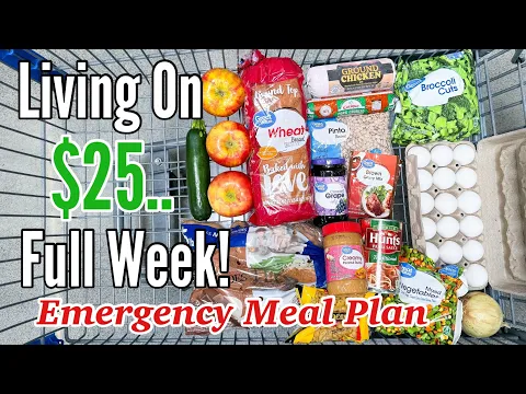 I Fed My Family for $25 This Week | Breakfast, Lunch & Dinner | Extreme Budget Meals at Walmart