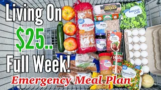 I Fed My Family for $25 This Week | Breakfast, Lunch & Dinner | Extreme Budget Meals at Walmart