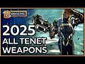 Essential Builds Best Elements for ALL TENET Weapons Warframe 2025