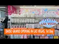 DAISO Grand Opening Whole Store Tour Huge Long Lines in Las Vegas DAISO