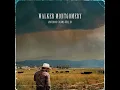 Watching Storms Roll In - Walker Montgomery