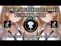DJ UBUR-UBUR IKAN LELE X AKU PILIH MAMA MUDA || Maman Fvndy - UBUR-UBUR IKAN LELE, DJ TERBARU LEE🤗🔥