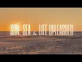 Download Lagu Discover the magic of a Wadden Island in summer. Sun, Sea \u0026 Life Unleashed. #Vlieland