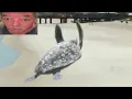 flying turtle
