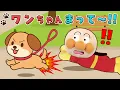 Download Lagu ワンちゃんまって〜！🐶🌈犬のお世話をしよう！かくれんぼが大好きなわんちゃんをアンパンマンたちと探してみよう！アンパンマン アニメ