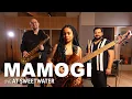 Download Lagu MaMoGi Debut New Tracks “Rise to Fall,” “RAFTAAR” | Live at Sweetwater