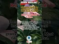 Read This Salawat 11 Times #sholawatnabi #prayer
