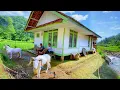 Download Lagu DIJAMIN BETAH😍 MENIKMATI HIDUP DI KAMPUNG YANG INDAH ALAM DESANYA, SUASANANYA ADEM, AYEM \u0026 TENTRAM