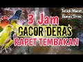 Lagu RAPET TEMBAKAN‼️ 3 Jam Terapi Burung Stres dan Macet Bunyi Agar Kembali Gacor