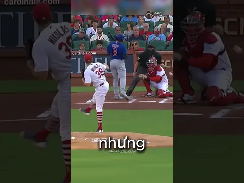 Tay Ném Bóng Trả Đũa Và Cái Kết Đắng 😬