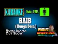 Download Lagu RAIB || Roma Irama || KARAOKE Nada PRIA