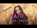 Download Lagu SAJO - Lagu Joget Remix Terbaru 2023