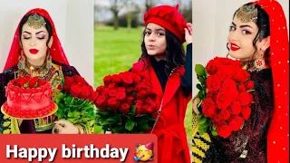 ولاگ جدید تجلیل ساده ازسال روز تولد الیسا جان و پختن کاپ کیک Best Moments Of Our Family Vlogs 