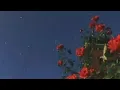 Paloma Mami - Cosas De La Vida (Letra)