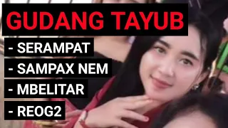 Download TAYUB - SERAMPAT, SAMPAX NEM, MBELITAR, REOG2 MP3