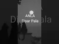 Diyar Pala - Anla (sözleri)