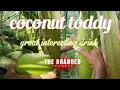 Download Lagu coconut toddy product😋🌴 the Branded tapping🥥🥛 very interesting drink