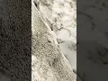 /www.google.com/url?sa=t\u0026source=web\u0026rct=j\u0026url=https://m.youtube.com/watch%3F