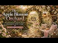 The Apple Blossom Orchard Relaxing Piano Spring Ambience