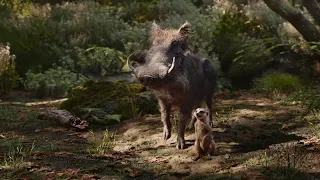 lion king 2019 meet pumbaa u0026 timon