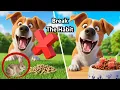 How to Stop Your Dog From Eating Rabbit Poop How to Train Your Dog to Leave It