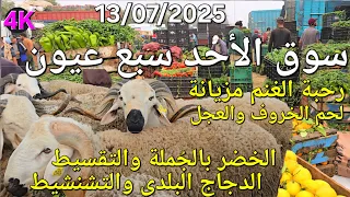 أثمنة الدجاج واللحوم والخضر والحبوب سوق الأحد سبع عيون اليوم 13 07 2025 