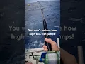 Lagu Crazy mahi mahi jumps!  It doesn’t get any better! #dolphinfish #mahimahi #dorado