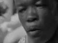 John Lee Hooker performing Boom Boom at the Newport Folk Festival in 1963