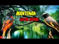 Download Lagu MASTERAN MANTENAN