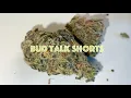 Bud Talk Episode 48 Mochi Runtz
