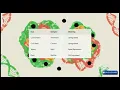 Microarray Explained Measuring Thousands of Genes at Once