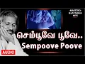 Lagu sempoove poove poove un megam naan | Siraichalai Tamil Movie Songs | Ilaiyaraaja | S. P. B |Chithra